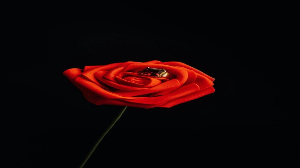 A vivid red rose with a deep crimson gemstone ring nestled in its petals, set against a stark black background for a dramatic contrast.