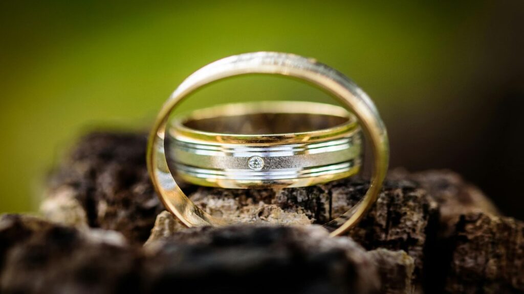 Close-up of two gold wedding bands with a small diamond, artistically arranged on a piece of weathered wood against a blurred green background.