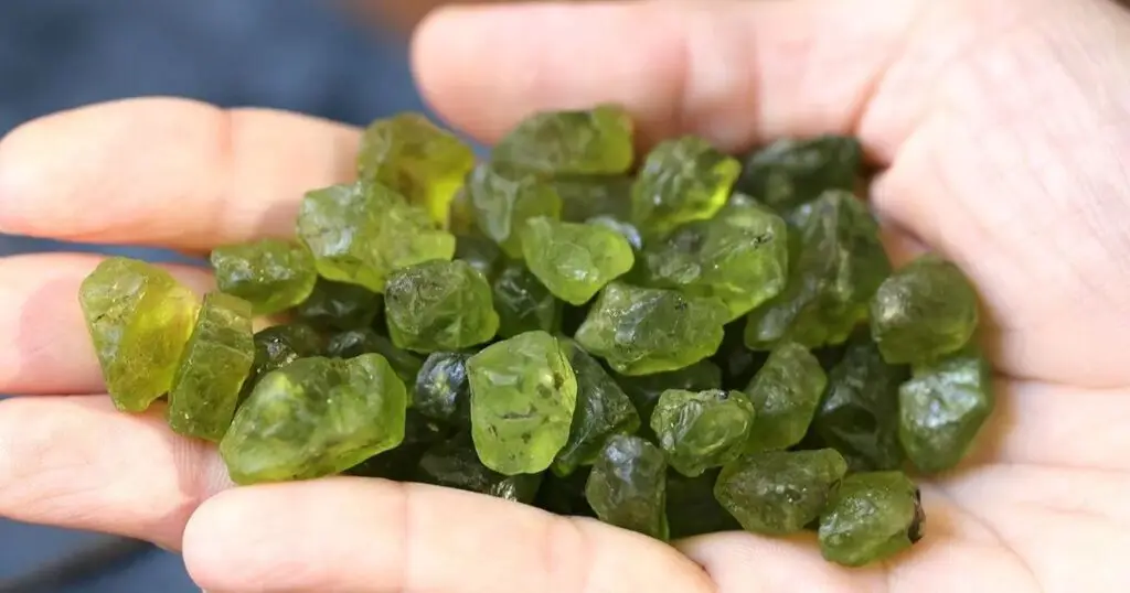 A hand holding a handful of small, green peridot gemstones.