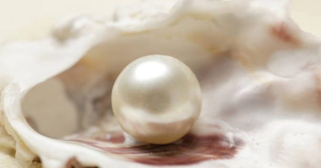 A round, white pearl resting on a mother-of-pearl shell.